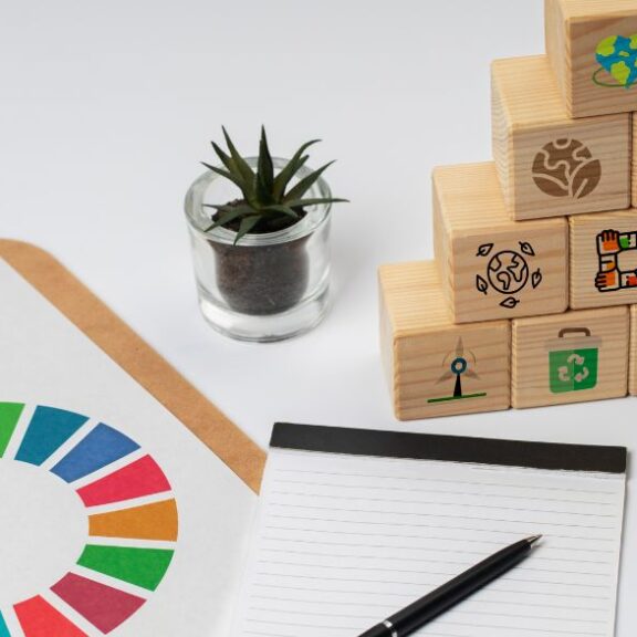 Já estamos em 2025, um marco importante no caminho para 2030, o ano em que o mundo busca alcançar as metas ambiciosas dos Objetivos de Desenvolvimento Sustentável (ODS). Entre eles, o ODS 7 - Energia Limpa e Acessível destaca-se como um pilar estratégico para garantir um futuro mais sustentável. Ele não apenas promove o acesso universal à energia, mas também impulsiona a transição para fontes renováveis, fortalece economias e reduz desigualdades, conectando desenvolvimento humano e preservação ambiental.