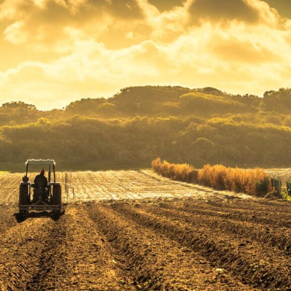 Biogás na agropecuária brasileira enfrenta desafios apesar do alto potencial energético