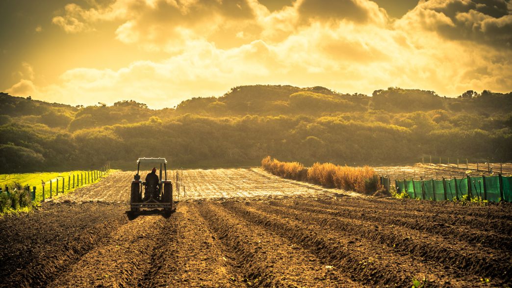 Biogás na agropecuária brasileira enfrenta desafios apesar do alto potencial energético
