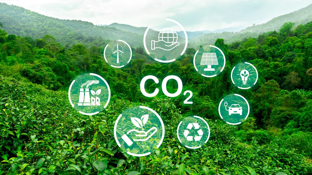 Biometano no Brasil: Regulamentação Aquece Debate e Mercado se Prepara para o "Pré-Sal Caipira"