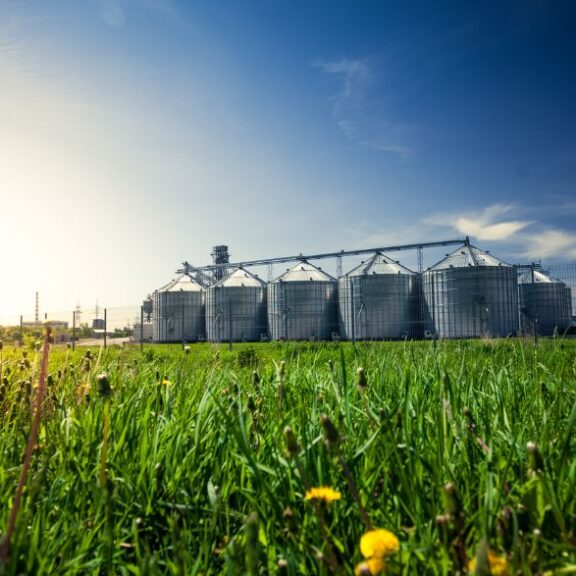Biometano no Brasil: Regulamentação Aquece Debate e Mercado se Prepara para o "Pré-Sal Caipira"
