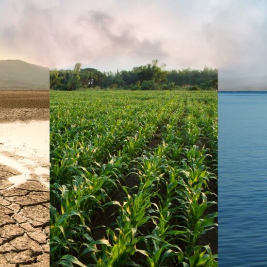 Como a crise climática redefine o risco e a oportunidade no setor de energia