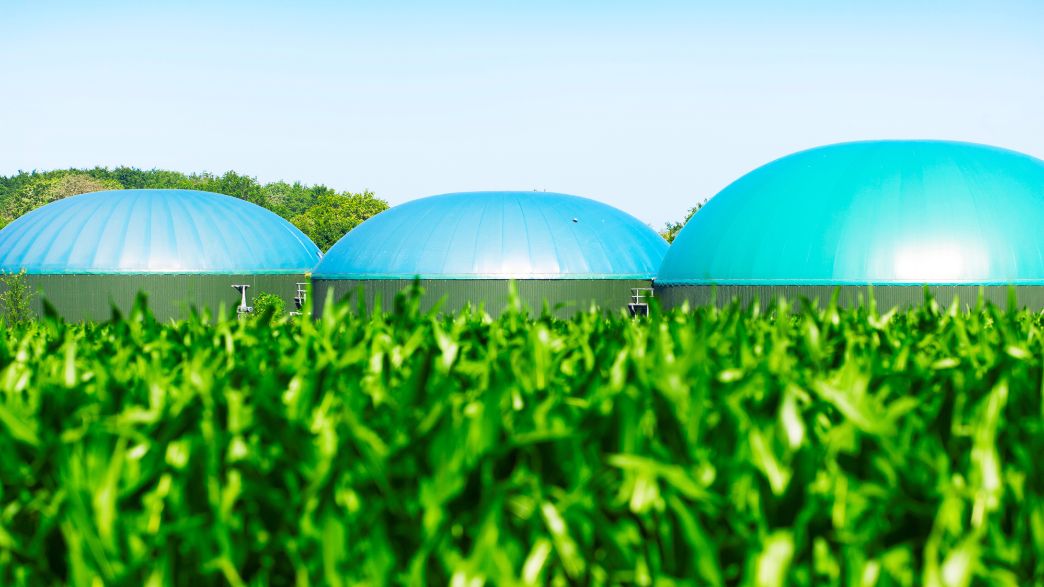 Energia renovável a partir do biogás impulsiona a transição energética sustentável no Brasil