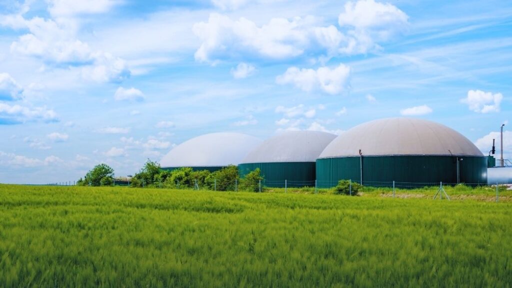 Biogás e Geração Distribuída: A Revolução Energética Sustentável no Brasil