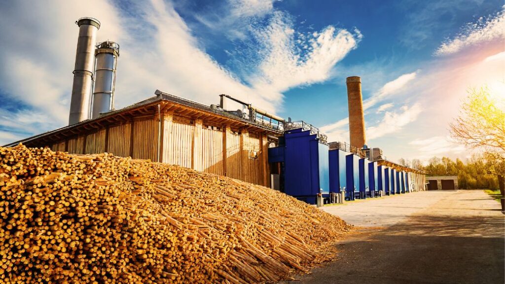 Crescimento da Exportação de Energia a partir de Biomassa no Brasil